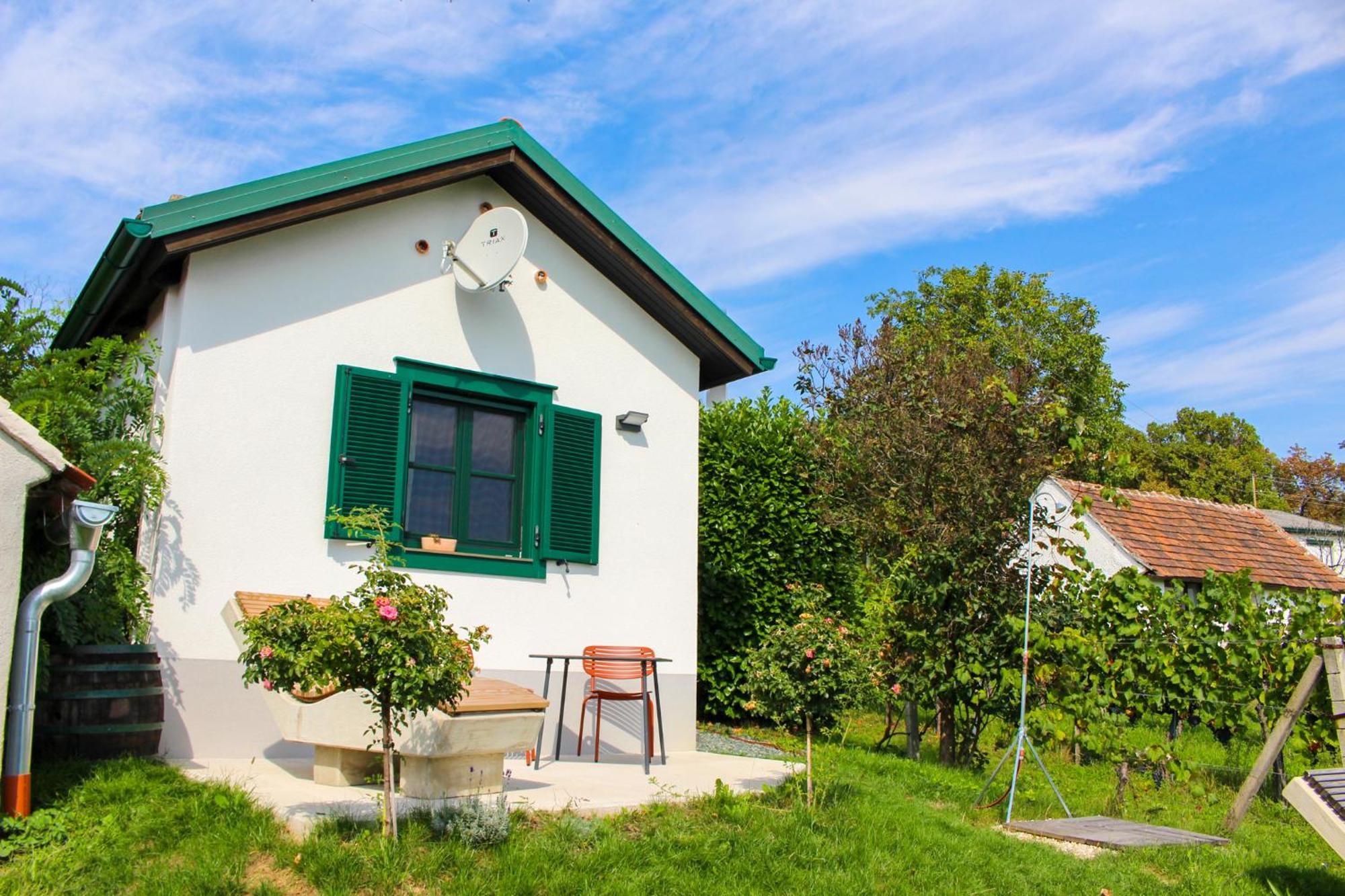Kellerstoeckl Am Berg Villa Eisenberg an der Pinka Exterior foto