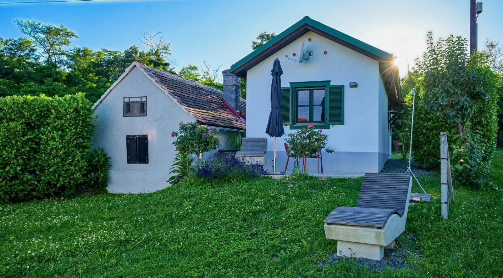 Kellerstoeckl Am Berg Villa Eisenberg an der Pinka Exterior foto